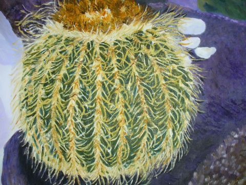 CACTUS à Tenerife